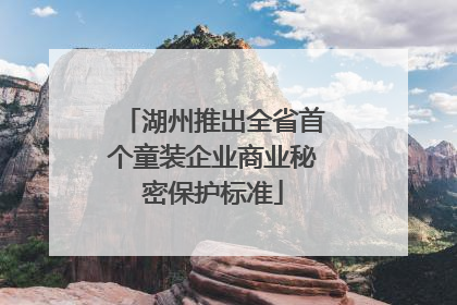 湖州推出全省首个童装企业商业秘密保护标准
