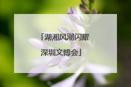湖湘风潮闪耀深圳文博会