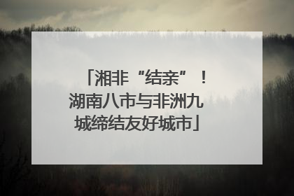 湘非“结亲”！湖南八市与非洲九城缔结友好城市