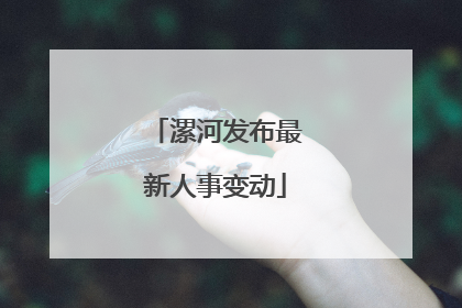 漯河发布最新人事变动