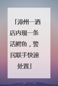 漳州一酒店内现一条活鳄鱼，警民联手快速处置