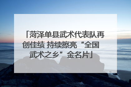 菏泽单县武术代表队再创佳绩 持续擦亮“全国武术之乡”金名片