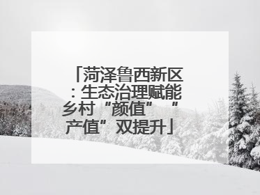 菏泽鲁西新区：生态治理赋能乡村“颜值”“产值”双提升