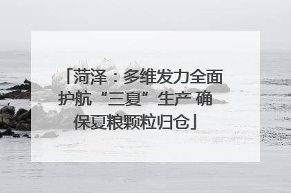 菏泽：多维发力全面护航“三夏”生产 确保夏粮颗粒归仓