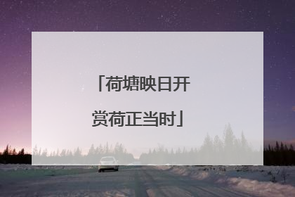 荷塘映日开 赏荷正当时