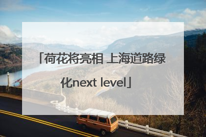 荷花将亮相 上海道路绿化next level