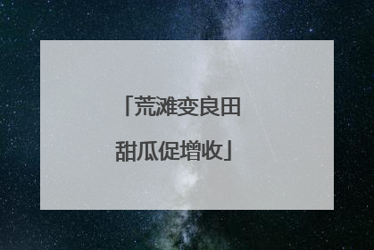 荒滩变良田 甜瓜促增收