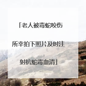 老人被毒蛇咬伤 所幸拍下照片及时注射抗蛇毒血清