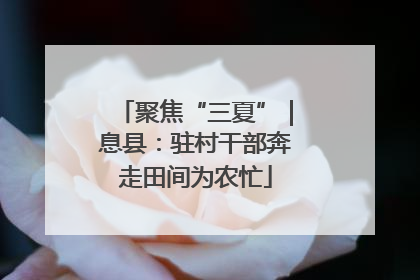 聚焦“三夏”｜息县：驻村干部奔走田间为农忙