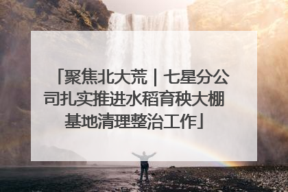 聚焦北大荒｜七星分公司扎实推进水稻育秧大棚基地清理整治工作