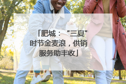 肥城：“三夏”时节金麦浪，供销服务助丰收