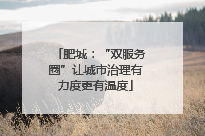 肥城：“双服务圈”让城市治理有力度更有温度