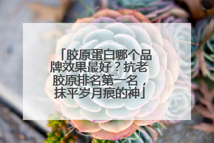 胶原蛋白哪个品牌效果最好？抗老胶原排名第一名，抹平岁月痕的神