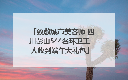 致敬城市美容师 四川彭山544名环卫工人收到端午大礼包