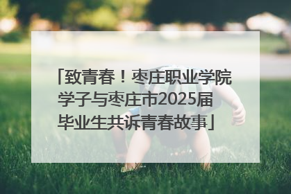 致青春！枣庄职业学院学子与枣庄市2025届毕业生共诉青春故事