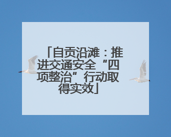 自贡沿滩：推进交通安全“四项整治”行动取得实效