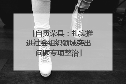 自贡荣县：扎实推进社会组织领域突出问题专项整治