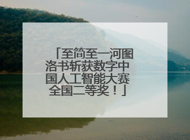 至简至一河图洛书斩获数字中国人工智能大赛全国二等奖！