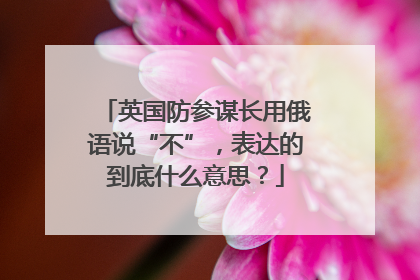 英国防参谋长用俄语说“不”，表达的到底什么意思？