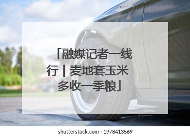 融媒记者一线行｜麦地套玉米 多收一季粮