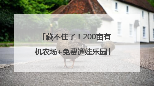 藏不住了！200亩有机农场+免费遛娃乐园