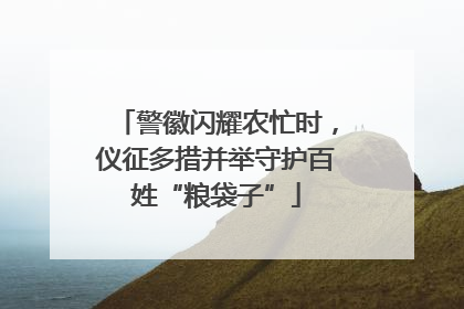 警徽闪耀农忙时，仪征多措并举守护百姓“粮袋子”