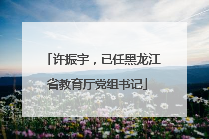 许振宇，已任黑龙江省教育厅党组书记