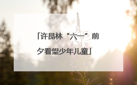 许昆林“六一”前夕看望少年儿童