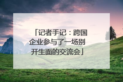 记者手记：跨国企业参与了一场别开生面的交流会
