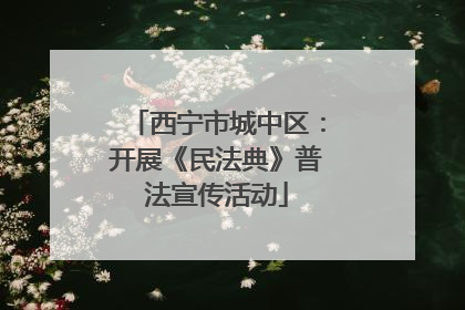 西宁市城中区：开展《民法典》普法宣传活动