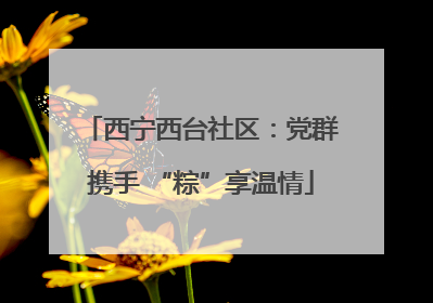 西宁西台社区：党群携手 “粽”享温情