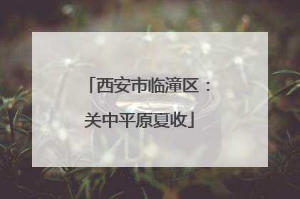 西安市临潼区：关中平原夏收