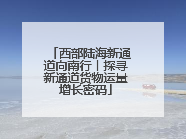 西部陆海新通道向南行丨探寻新通道货物运量增长密码