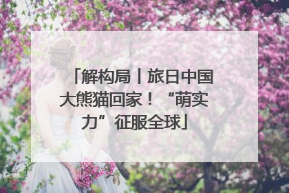 解构局丨旅日中国大熊猫回家！“萌实力”征服全球