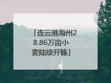 连云港海州28.86万亩小麦陆续开镰