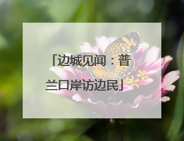 边城见闻：普兰口岸访边民