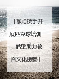 豫哈携手开展匹克球培训，鹤壁助力教育文化援疆