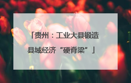 贵州：工业大县锻造县域经济“硬脊梁”