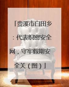 贵溪市白田乡：代表织密安全网，守牢假期安全关（图）