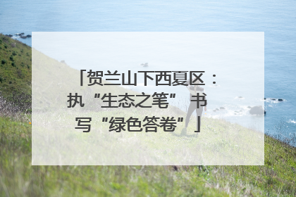 贺兰山下西夏区：执“生态之笔” 书写“绿色答卷”