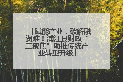 赋能产业，破解融资难！浦江县财政“三聚焦”助推传统产业转型升级