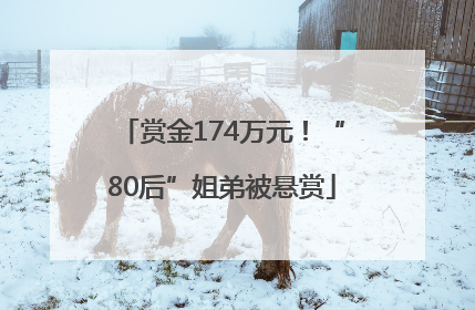 赏金174万元！“80后”姐弟被悬赏