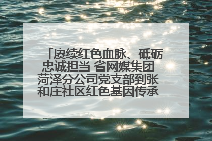 赓续红色血脉、砥砺忠诚担当 省网媒集团菏泽分公司党支部到张和庄社区红色基因传承馆开展主题党日活动
