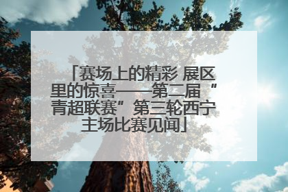 赛场上的精彩 展区里的惊喜——第二届“青超联赛”第三轮西宁主场比赛见闻