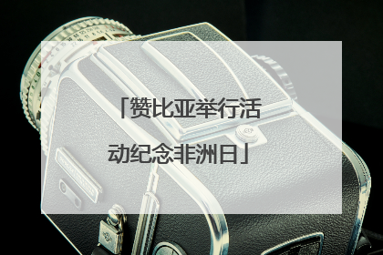 赞比亚举行活动纪念非洲日