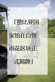 赞比亚国家馆在自贸雨花区块正式揭牌