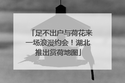 足不出户与荷花来一场浪漫约会！湖北推出赏荷地图