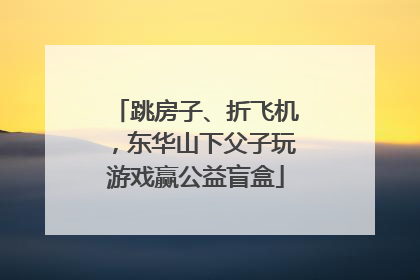 跳房子、折飞机，东华山下父子玩游戏赢公益盲盒