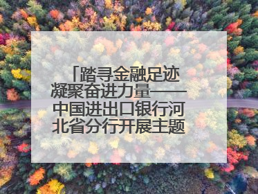 踏寻金融足迹 凝聚奋进力量——中国进出口银行河北省分行开展主题党日活动