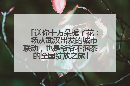 送你十万朵栀子花：一场从武汉出发的城市联动，也是爷爷不泡茶的全国绽放之旅